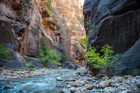 Schluchten und Türmchen-8