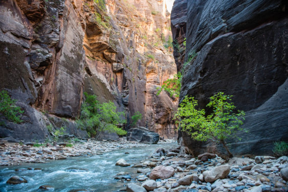 Schluchten und Türmchen-8